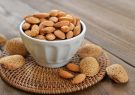 خواص بادام؛ ۱۴ خاصیت دارویی بادام و ارزش تغذیه‌ای آن برای سلامت بدن